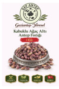 Saf Antep Kabuklu Ağaç Altı Antep Fıstığı Gaziantep Yöresinden Yeni Mahsul